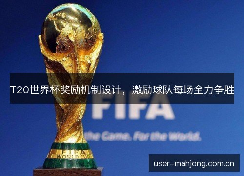 T20世界杯奖励机制设计，激励球队每场全力争胜